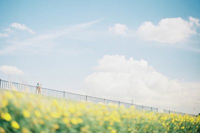 ​妇女节祝福语大全感动文案说说(精选85句)