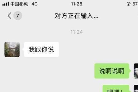 正在输入什么意思