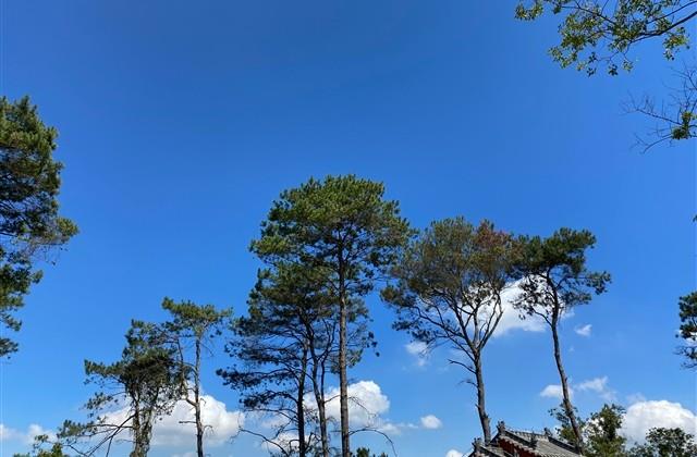 适合旅游发朋友圈的句子