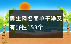 男生网名简单干净又有野性153个