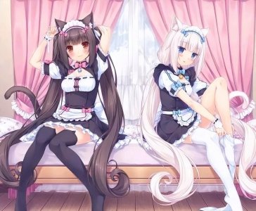 ​(转)浅谈Nekopara