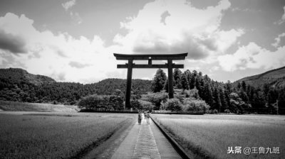 ​设计小百科-日本鸟居图解