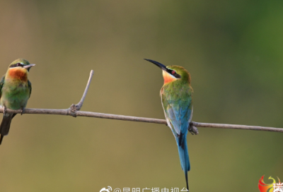 ​微信备注名字前缀简单